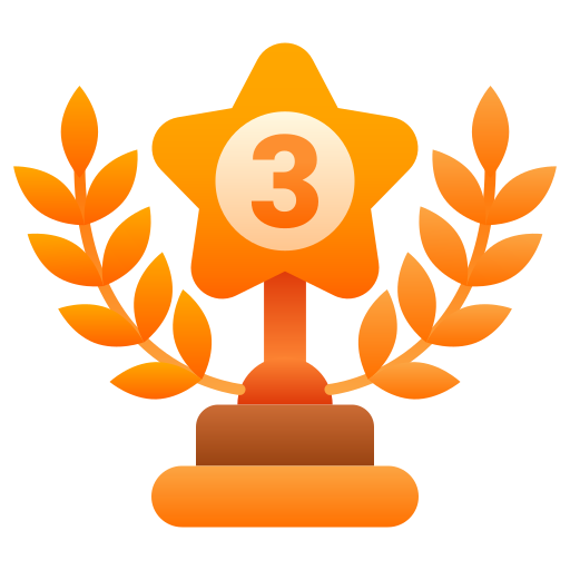 3rd place medal
